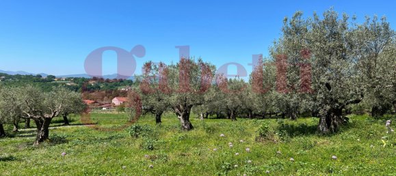 2 bedrooms House in Faicchio, Italy No. 324323 24