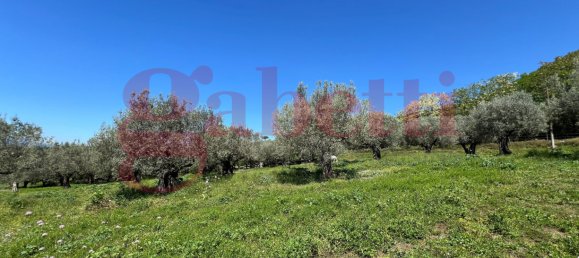 2 bedrooms House in Faicchio, Italy No. 324323 27