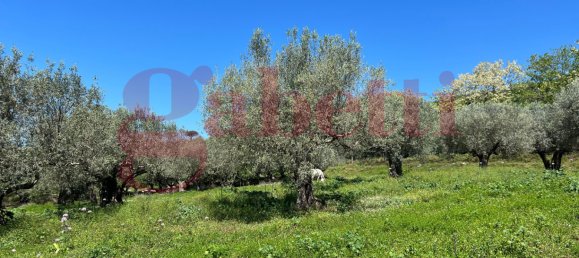 2 bedrooms House in Faicchio, Italy No. 324323 26