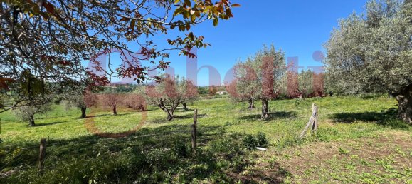 2 bedrooms House in Faicchio, Italy No. 324323 38