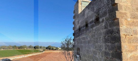 1 room Land in Polignano a Mare, Italy No. 34332 41