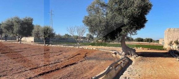 1 room Land in Polignano a Mare, Italy No. 34332 40