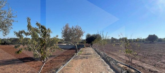 1 room Land in Polignano a Mare, Italy No. 34332 45