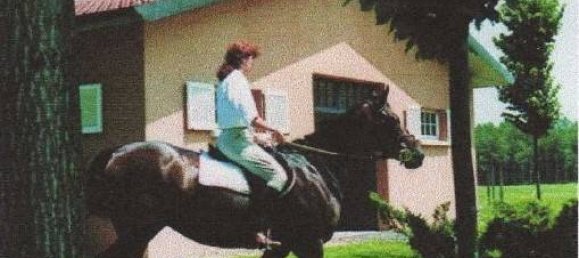 Hotel de 67 dormitorios en Ozzero, Italy No. 61143 4