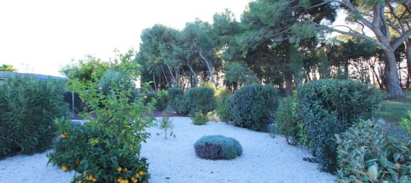 3 bedrooms House in Marseillan, France No. 185826 5