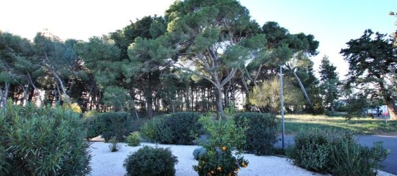 3 bedrooms House in Marseillan, France No. 185826 3