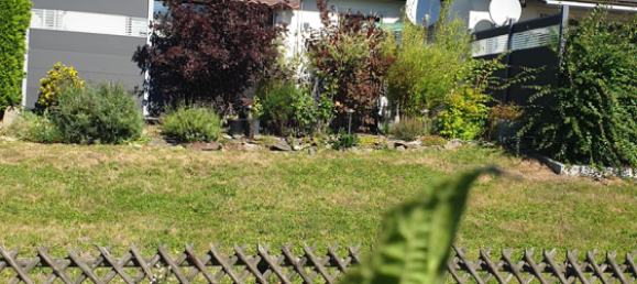 5-salle Maison de ville à Hof, Germany No. 270937 4