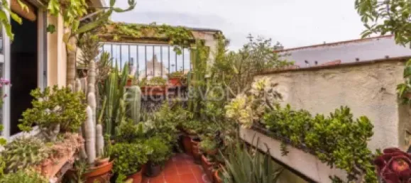 2 bedrooms Penthouse in Madrid, Spain No. 176733 14