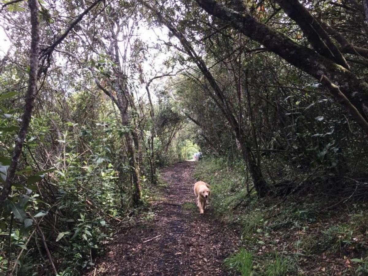 Casa de 3 dormitorios en Cundinamarca, Colombia No. 8791
