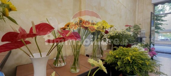 2 rooms Commercial property in Lanciano, Italy No. 364071 17