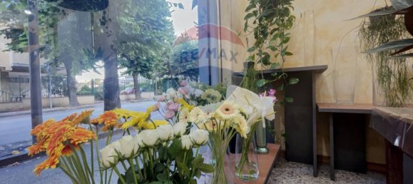 2 rooms Commercial property in Lanciano, Italy No. 364071 20