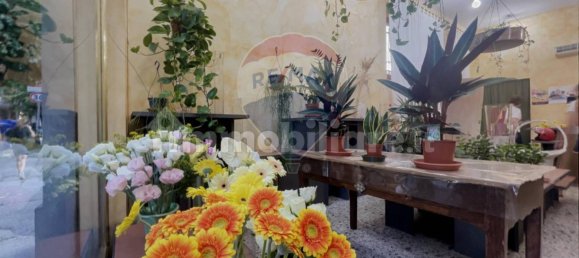 2 rooms Commercial property in Lanciano, Italy No. 364071 19