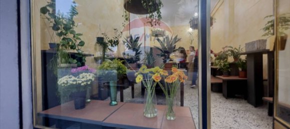 2 rooms Commercial property in Lanciano, Italy No. 364071 4