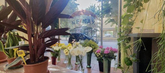 2 rooms Commercial property in Lanciano, Italy No. 364071 18