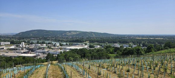 Land in Klosterneuburg, Austria No. 151149 4