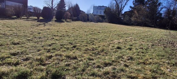  Land in Thalheim bei Wels, Austria No. 126381 3