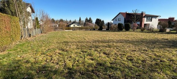  Land in Thalheim bei Wels, Austria No. 126381 4