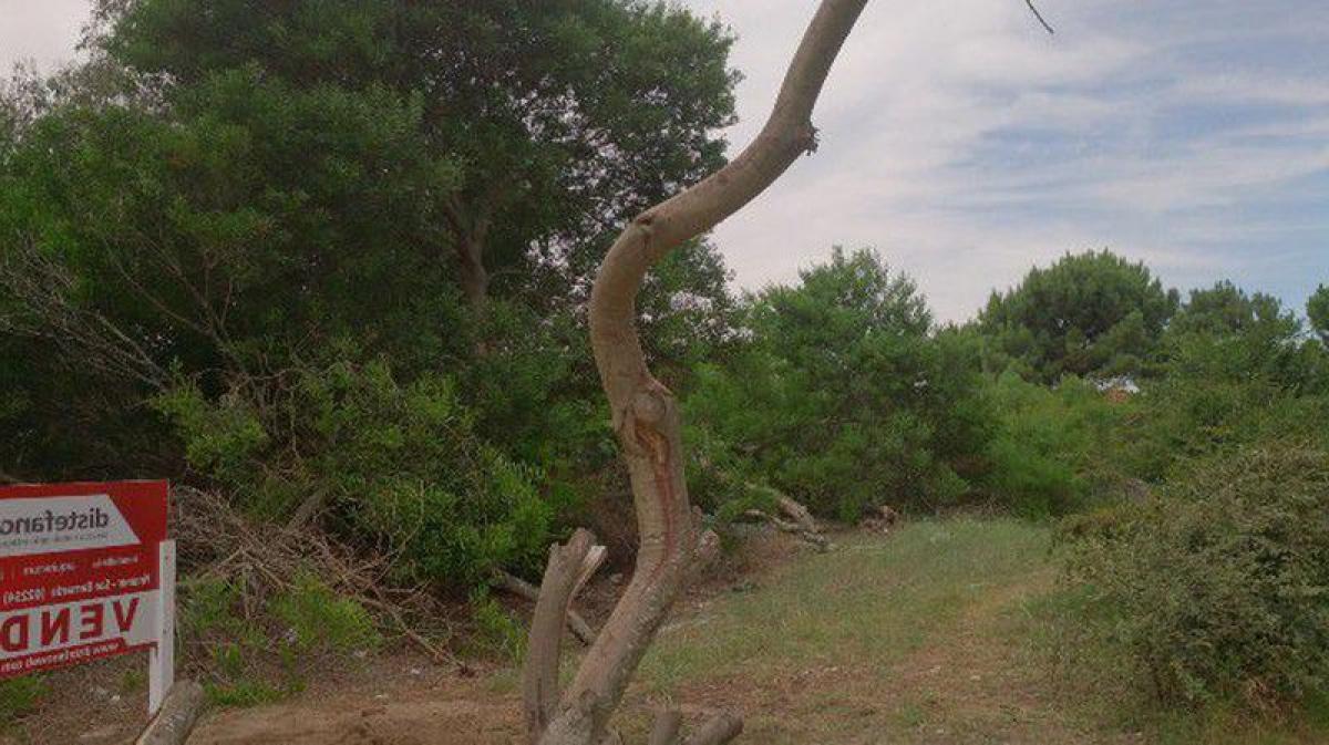 Grundstück in Mar del Plata, Argentina, Nr. 119347