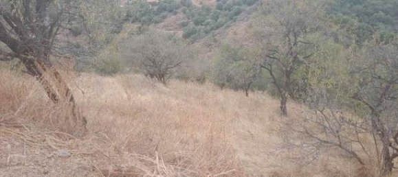 Terreno en Mijas, Spain 6000 m² No. 135999 2