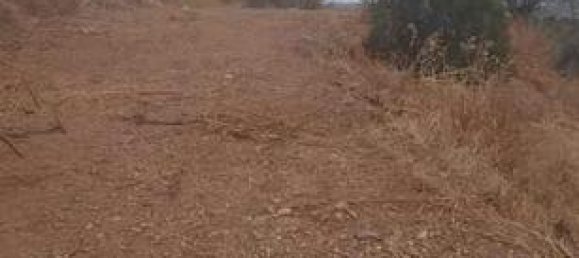 Terreno en Mijas, Spain 6000 m² No. 135999 3