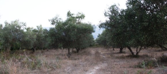 14500m² Hotel in Chania, Greece No. 6959 3