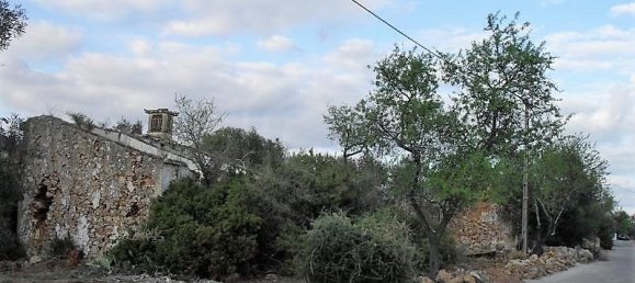 Grundstück in Loule, Portugal 4270m², Nr. 74220 2