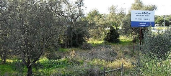 Grundstück in Loule, Portugal 4270m², Nr. 74220 6