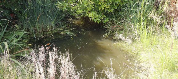 Adosado de 4 habitaciónes en Cloppenburg, Germany No. 320089 5