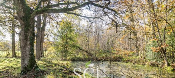 2 غرف نوم منزل في Neung-sur-Beuvron, France رقم 56385 27