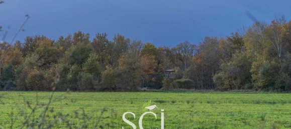 2 غرف نوم منزل في Neung-sur-Beuvron, France رقم 56385 34