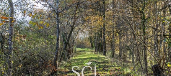 2 غرف نوم منزل في Neung-sur-Beuvron, France رقم 56385 28