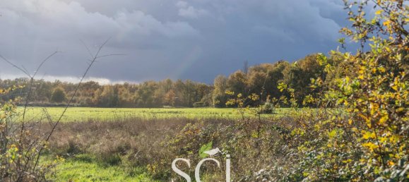 2 غرف نوم منزل في Neung-sur-Beuvron, France رقم 56385 35