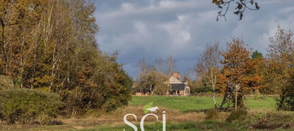 2 غرف نوم منزل في Neung-sur-Beuvron, France رقم 56385 30