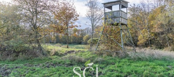 2 غرف نوم منزل في Neung-sur-Beuvron, France رقم 56385 32