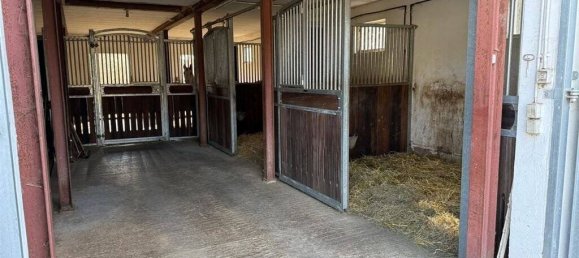 7غرفة مزرعة في Altenkirchen, Germany رقم 148429 9