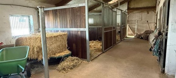 7غرفة مزرعة في Altenkirchen, Germany رقم 148429 8