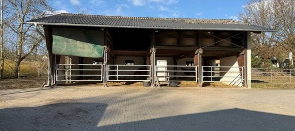 7غرفة مزرعة في Altenkirchen, Germany رقم 148429 5