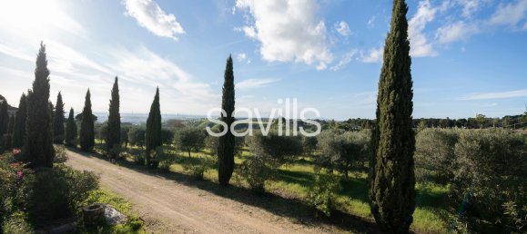 8غرفة فيلا في Salemi, Italy رقم 150654 22