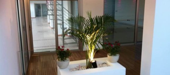 5 bedrooms Apartment in Limassol, Cyprus No. 1732 8