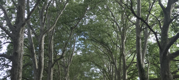 24 Schlafzimmer Schlösser in Blet, France, Nr. 329069 18