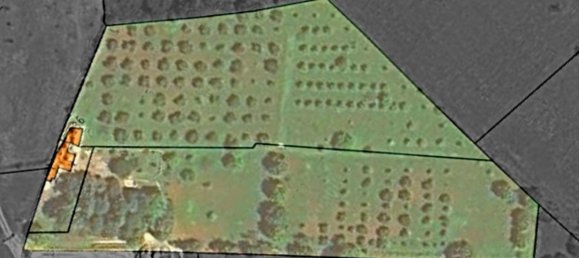 2 Schlafzimmer Haus in Ostuni, Italy, Nr. 19393 33