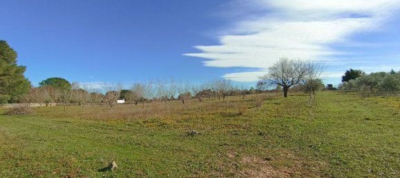 2 Schlafzimmer Haus in Ostuni, Italy, Nr. 19393 11