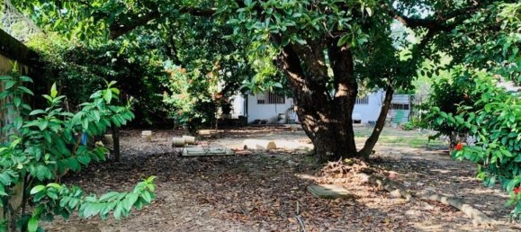  Land in Liberia, Costa Rica No. 1460 3