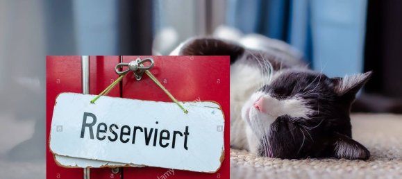 Moradia em banda de 5 divisões em Ilm-Kreis, Germany N.º 15297 2