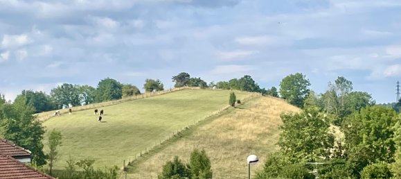 Дом с 3 спальнями в Анси, Франция № 299017 4