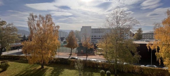 Квартира с 3 спальнями в Штейр, Австрия № 107816 8