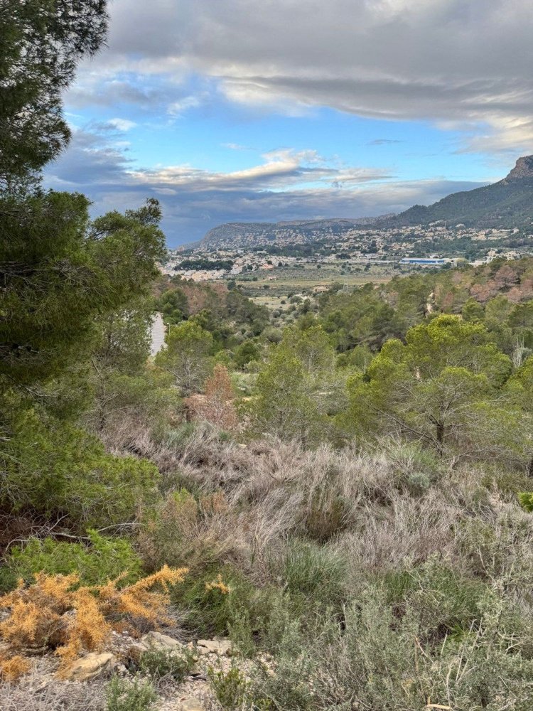  Land in Calpe, Spain No. 267188