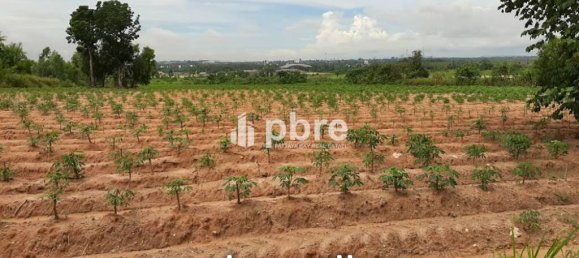  Commercial property in Bang Lamung, Thailand No. 16182 6