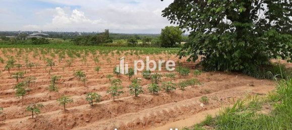  Commercial property in Bang Lamung, Thailand No. 16182 3