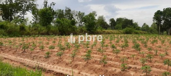  Commercial property in Bang Lamung, Thailand No. 16182 2